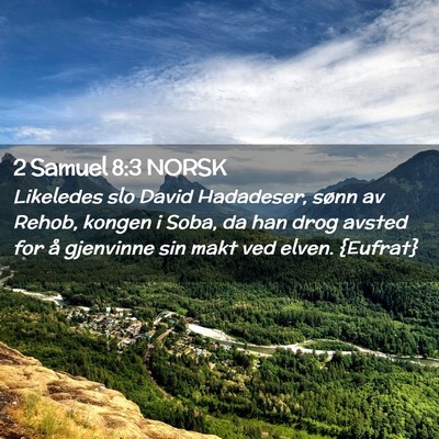 Picture 02 - 2 Samuel 8:3 NORSK - Likeledes slo David Hadadeser, sønn av Rehob, - Bible Verse Picture