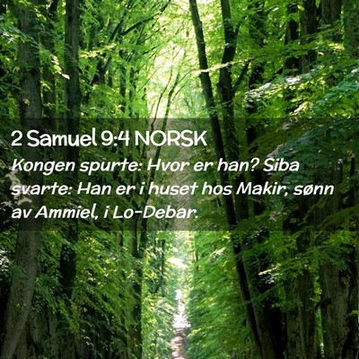 Picture 02 - 2 Samuel 9:4 NORSK - Kongen spurte: Hvor er han? Siba svarte: Han er i - Bible Verse Picture
