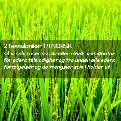 Picture 02 - 2 Tessaloniker 1:4 NORSK - så vi selv roser oss av eder i Guds menigheter - Bible Verse Picture