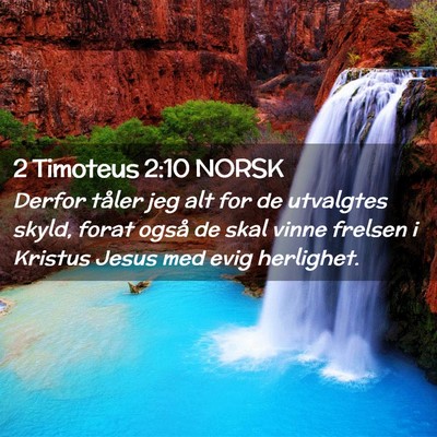 Picture 02 - 2 Timoteus 2:10 NORSK - Derfor tåler jeg alt for de utvalgtes skyld, - Bible Verse Picture