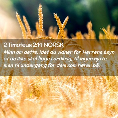 Picture 02 - 2 Timoteus 2:14 NORSK - Minn om dette, idet du vidner for Herrens åsyn - Bible Verse Picture