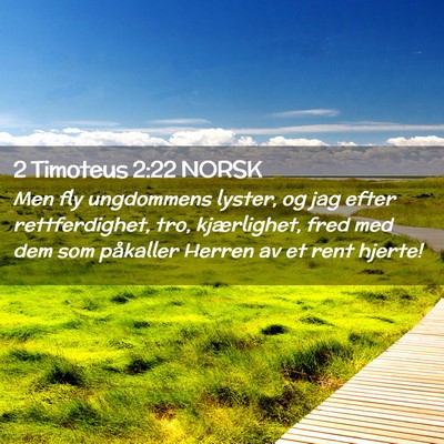 Picture 02 - 2 Timoteus 2:22 NORSK - Men fly ungdommens lyster, og jag efter - Bible Verse Picture