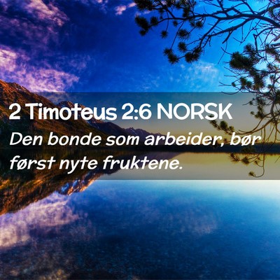 Picture 02 - 2 Timoteus 2:6 NORSK - Den bonde som arbeider, bør først nyte - Bible Verse Picture