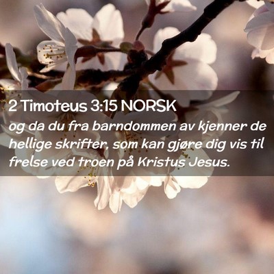 Picture 02 - 2 Timoteus 3:15 NORSK - og da du fra barndommen av kjenner de hellige - Bible Verse Picture