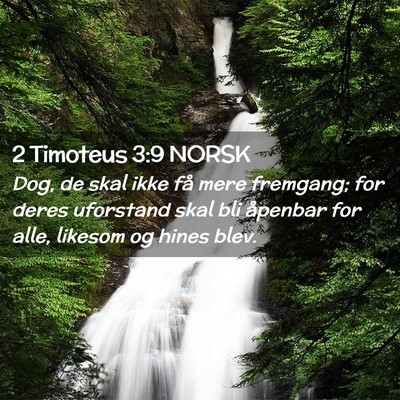 Picture 02 - 2 Timoteus 3:9 NORSK - Dog, de skal ikke få mere fremgang; for deres - Bible Verse Picture