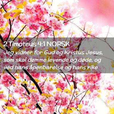 Picture 02 - 2 Timoteus 4:1 NORSK - Jeg vidner for Gud og Kristus Jesus, som skal - Bible Verse Picture