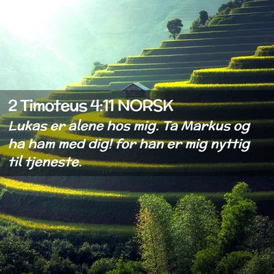 Picture 02 - 2 Timoteus 4:11 NORSK - Lukas er alene hos mig. Ta Markus og ha ham med - Bible Verse Picture