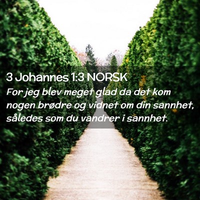 Picture 02 - 3 Johannes 1:3 NORSK - For jeg blev meget glad da det kom nogen brødre - Bible Verse Picture