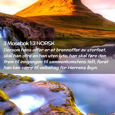 Picture 02 - 3 Mosebok 1:3 NORSK - Dersom hans offer er et brennoffer av storfeet, - Bible Verse Picture