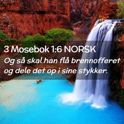 Picture 02 - 3 Mosebok 1:6 NORSK - Og så skal han flå brennofferet og dele det op - Bible Verse Picture