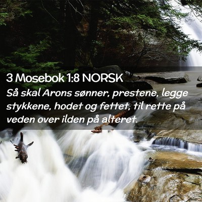 Picture 02 - 3 Mosebok 1:8 NORSK - Så skal Arons sønner, prestene, legge stykkene, - Bible Verse Picture