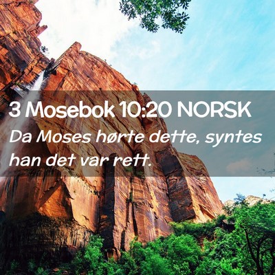 Picture 02 - 3 Mosebok 10:20 NORSK - Da Moses hørte dette, syntes han det var - Bible Verse Picture