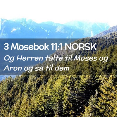 Picture 02 - 3 Mosebok 11:1 NORSK - Og Herren talte til Moses og Aron og sa til - Bible Verse Picture