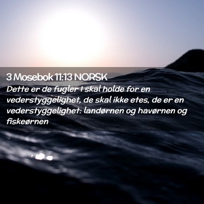 Picture 02 - 3 Mosebok 11:13 NORSK - Dette er de fugler I skal holde for en - Bible Verse Picture