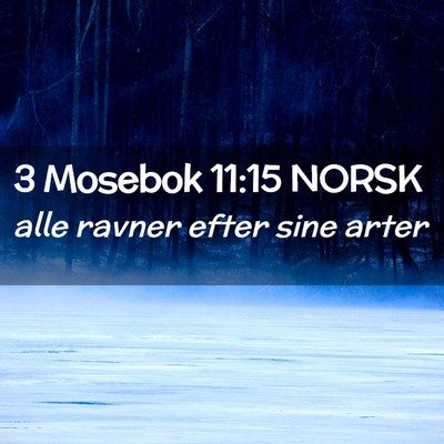 Picture 02 - 3 Mosebok 11:15 NORSK - alle ravner efter sine - Bible Verse Picture