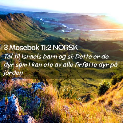 Picture 02 - 3 Mosebok 11:2 NORSK - Tal til Israels barn og si: Dette er de dyr som I - Bible Verse Picture