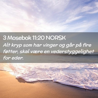 Picture 02 - 3 Mosebok 11:20 NORSK - Alt kryp som har vinger og går på fire føtter, - Bible Verse Picture