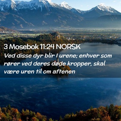 Picture 02 - 3 Mosebok 11:24 NORSK - Ved disse dyr blir I urene; enhver som rører ved - Bible Verse Picture