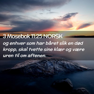 Picture 02 - 3 Mosebok 11:25 NORSK - og enhver som har båret slik en død kropp, skal - Bible Verse Picture