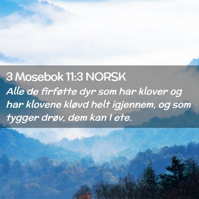Picture 02 - 3 Mosebok 11:3 NORSK - Alle de firføtte dyr som har klover og har - Bible Verse Picture