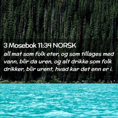 Picture 02 - 3 Mosebok 11:34 NORSK - all mat som folk eter, og som tillages med vann, - Bible Verse Picture