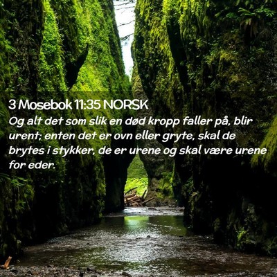 Picture 02 - 3 Mosebok 11:35 NORSK - Og alt det som slik en død kropp faller på, - Bible Verse Picture