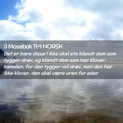 Picture 02 - 3 Mosebok 11:4 NORSK - Det er bare disse I ikke skal ete blandt dem som - Bible Verse Picture