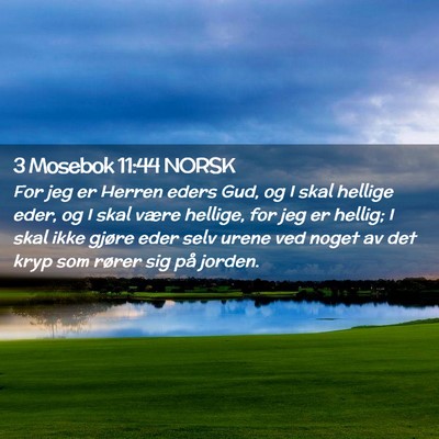 Picture 02 - 3 Mosebok 11:44 NORSK - For jeg er Herren eders Gud, og I skal hellige - Bible Verse Picture
