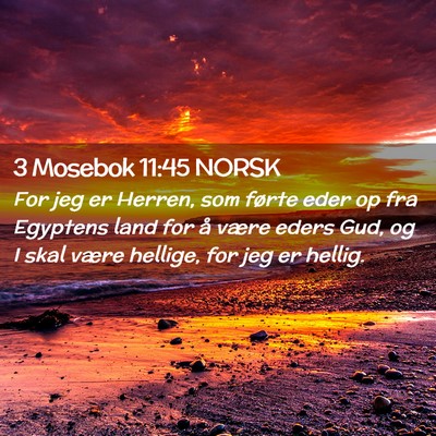 Picture 02 - 3 Mosebok 11:45 NORSK - For jeg er Herren, som førte eder op fra - Bible Verse Picture