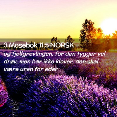 Picture 02 - 3 Mosebok 11:5 NORSK - og fjellgrevlingen, for den tygger vel drøv, men - Bible Verse Picture