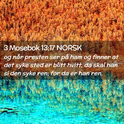 Picture 02 - 3 Mosebok 13:17 NORSK - og når presten ser på ham og finner at det syke - Bible Verse Picture