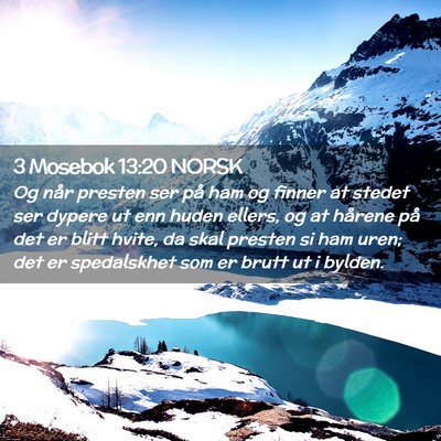 Picture 02 - 3 Mosebok 13:20 NORSK - Og når presten ser på ham og finner at stedet - Bible Verse Picture