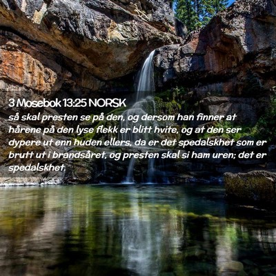 Picture 02 - 3 Mosebok 13:25 NORSK - så skal presten se på den, og dersom han finner - Bible Verse Picture