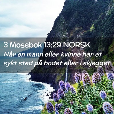 Picture 02 - 3 Mosebok 13:29 NORSK - Når en mann eller kvinne har et sykt sted på - Bible Verse Picture