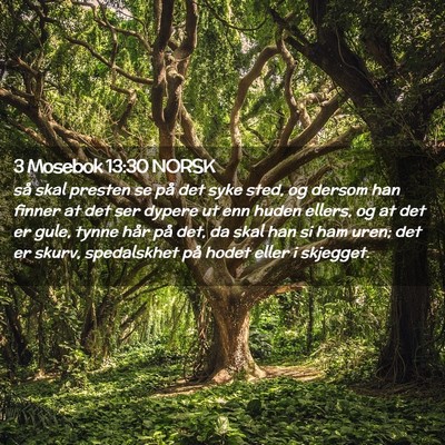 Picture 02 - 3 Mosebok 13:30 NORSK - så skal presten se på det syke sted, og dersom - Bible Verse Picture
