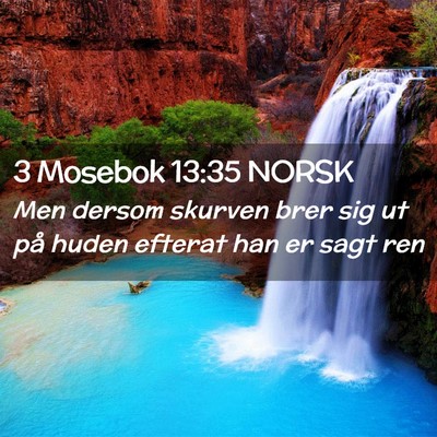 Picture 02 - 3 Mosebok 13:35 NORSK - Men dersom skurven brer sig ut på huden efterat - Bible Verse Picture