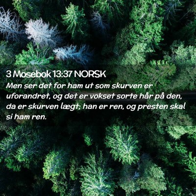 Picture 02 - 3 Mosebok 13:37 NORSK - Men ser det for ham ut som skurven er uforandret, - Bible Verse Picture