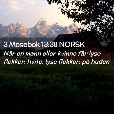 Picture 02 - 3 Mosebok 13:38 NORSK - Når en mann eller kvinne får lyse flekker, - Bible Verse Picture
