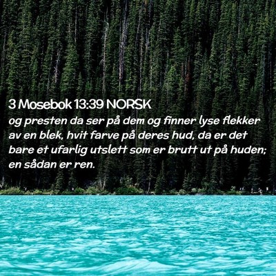 Picture 02 - 3 Mosebok 13:39 NORSK - og presten da ser på dem og finner lyse flekker - Bible Verse Picture
