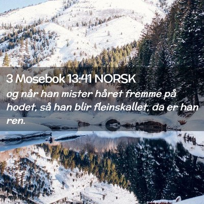 Picture 02 - 3 Mosebok 13:41 NORSK - og når han mister håret fremme på hodet, så - Bible Verse Picture