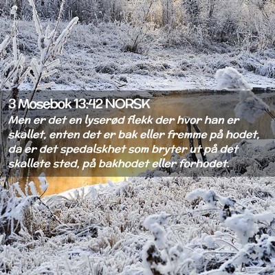 Picture 02 - 3 Mosebok 13:42 NORSK - Men er det en lyserød flekk der hvor han er - Bible Verse Picture
