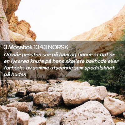 Picture 02 - 3 Mosebok 13:43 NORSK - Og når presten ser på ham og finner at det er - Bible Verse Picture
