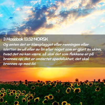 Picture 02 - 3 Mosebok 13:52 NORSK - Og enten det er klæsplagget eller renningen - Bible Verse Picture