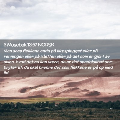 Picture 02 - 3 Mosebok 13:57 NORSK - Men sees flekkene enda på klæsplagget eller på - Bible Verse Picture