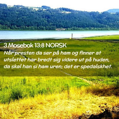 Picture 02 - 3 Mosebok 13:8 NORSK - Når presten da ser på ham og finner at - Bible Verse Picture