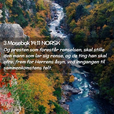 Picture 02 - 3 Mosebok 14:11 NORSK - Og presten som forestår renselsen, skal stille - Bible Verse Picture