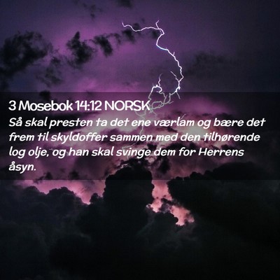 Picture 02 - 3 Mosebok 14:12 NORSK - Så skal presten ta det ene værlam og bære det - Bible Verse Picture