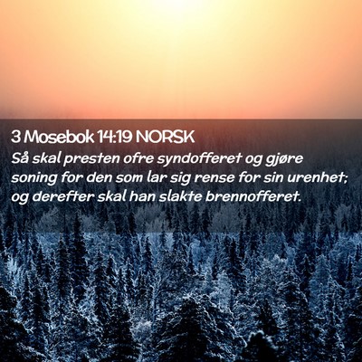 Picture 02 - 3 Mosebok 14:19 NORSK - Så skal presten ofre syndofferet og gjøre - Bible Verse Picture