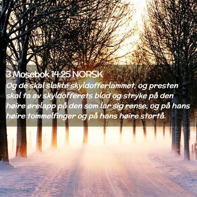 Picture 02 - 3 Mosebok 14:25 NORSK - Og de skal slakte skyldofferlammet, og presten - Bible Verse Picture