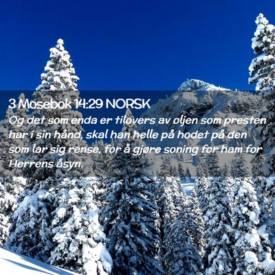 Picture 02 - 3 Mosebok 14:29 NORSK - Og det som enda er tilovers av oljen som presten - Bible Verse Picture